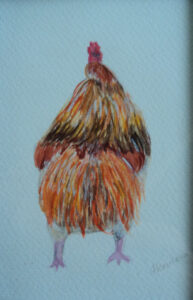 Coq vue de dos, aquarelle