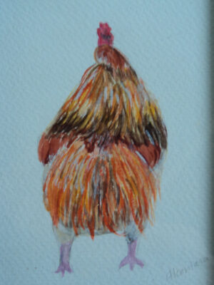 Coq vue de dos, aquarelle