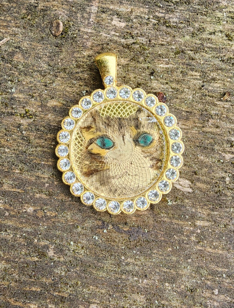 Ange-Coquette, Chat peint
