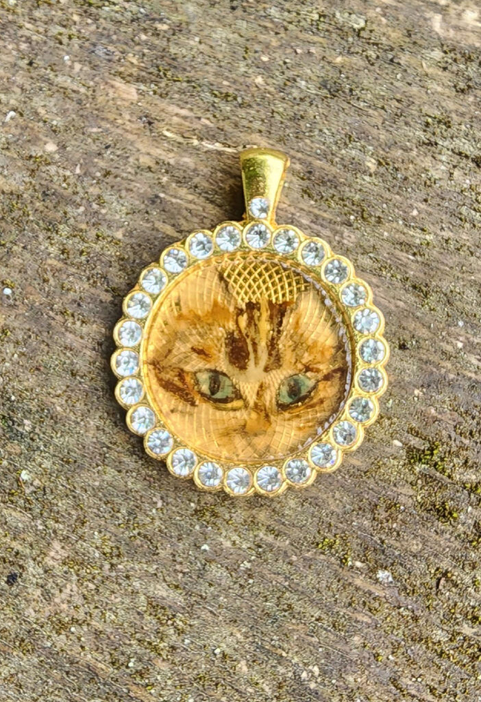 Chat Hélène 4