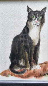 Chat long noir et blanc assis