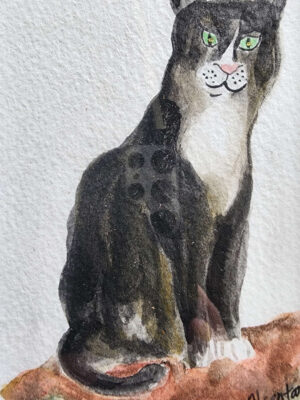 Chat long noir et blanc assis