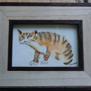 Chat tigre aquarelle