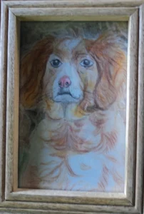 Portrait d'un épagneul orange aux pastels secs