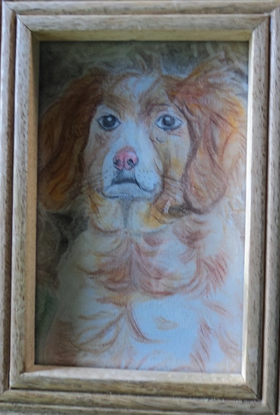 Portrait d'un épagneul orange aux pastels secs