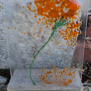 "Souffle de polle, fusing floral