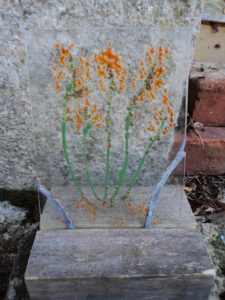 Premiers lupins, fusing 100% recyclé
