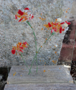 Pavots ardents, fusing sur verre, 100% recyclé