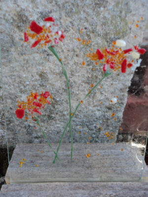 Pavots ardents, fusing sur verre, 100% recyclé