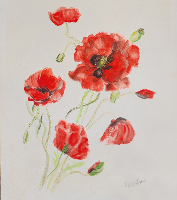 Aquarelle coquelicots