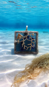 Arborescence marine – Pendentif fusing sur verre recyclé, branche dorée soudée, montage Tiffany patiné cuivre