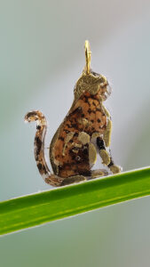 Aurea Felis, pendentif résine, aile de papillon et feuille d'or