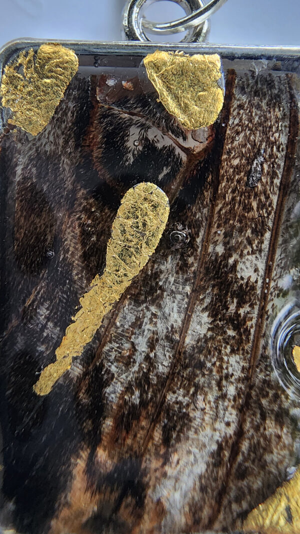 Grand Pan d'argent détail Grand Pan d'argent détail