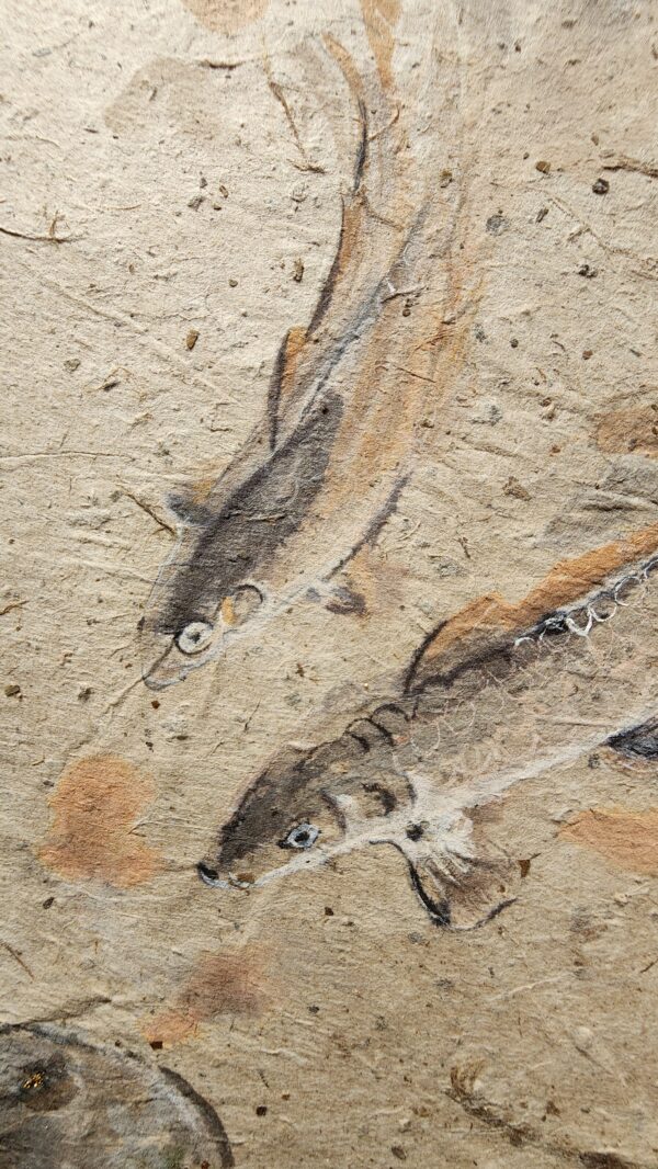 20260323_153247 Duo de carpes Duo de carpes sans cadre